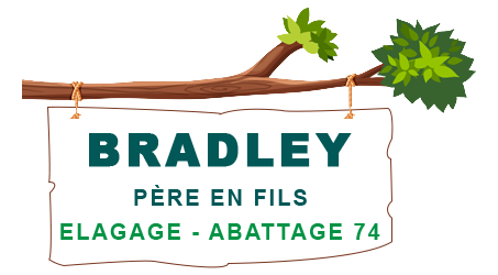 Bradley Sauvervald - Père en Fils